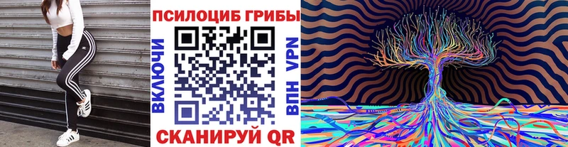 Галлюциногенные грибы Cubensis  ОМГ ОМГ ONION  Вышний Волочёк 